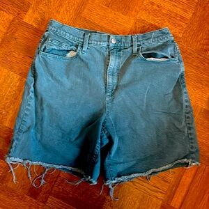 Vintage Bermuda Teal Shorts size 8
